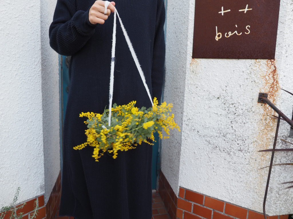 みもざ